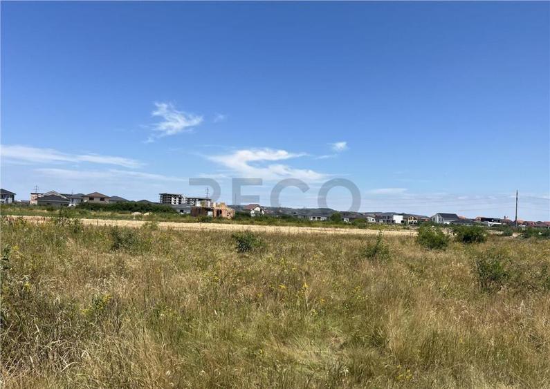 RECO IMOBILIARE,TEREN Cihei - 5