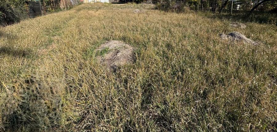 Oferta! teren in zona Mehala - 2