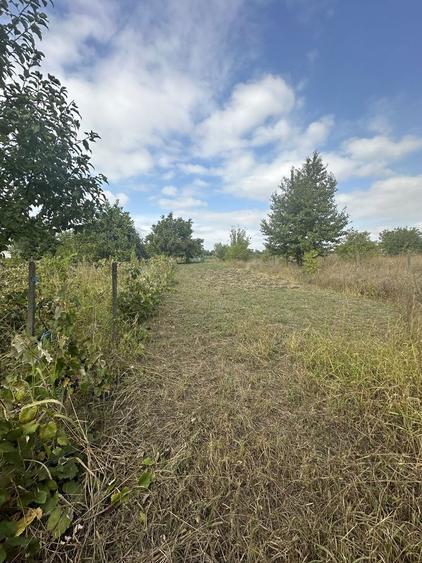 Teren intravilan de vanzare - 1655mp - Aroneanu - Iasi - 6