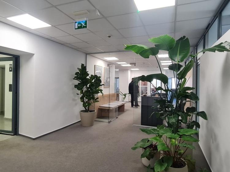 Spatii birou Piata Victoriei - Clinica/office - 2