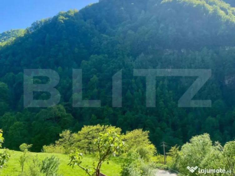 Casa de vacanta cu 4 camere, 1470 mp teren, Sugag - 3