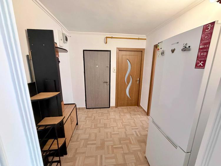 Apartament 2 camere de inchiriat - Ostroveni - 10