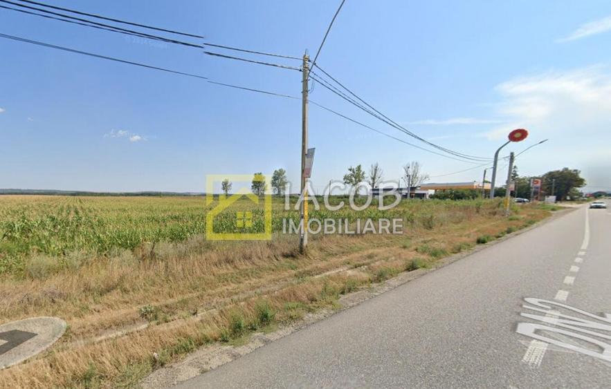 Teren intravilan, 8333 mp, la E85, comuna Secuienii Noi, jud - 6