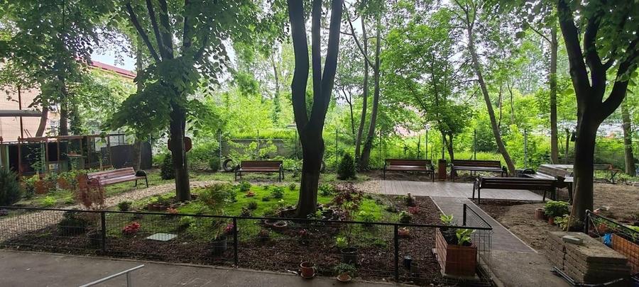 Apartament cu 2 camere semidecomandat în Domenii