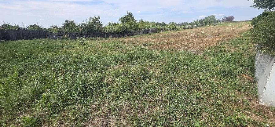 Teren de 1267 mp, în Lețcani
