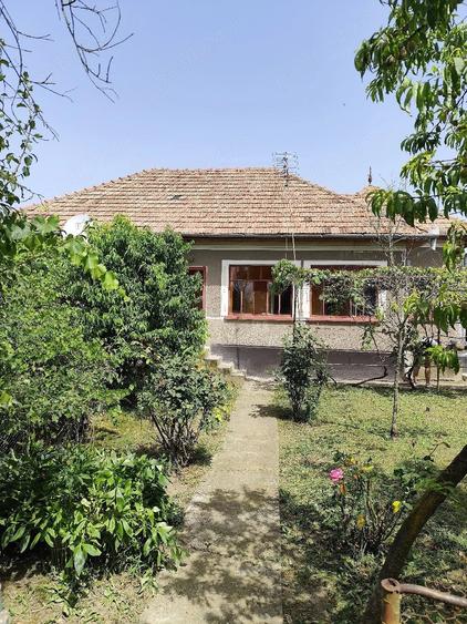 Casă cu 3 camere cu Teren 1600 Mp în Bacea