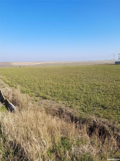 Teren de 15000 mp, în Sud