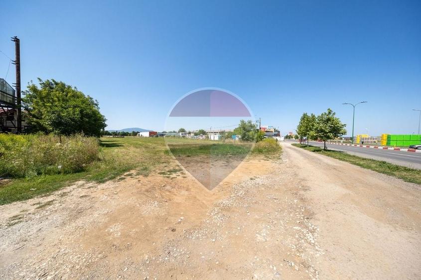 Teren Construcții intravilan de 24800 mp, în Griviței