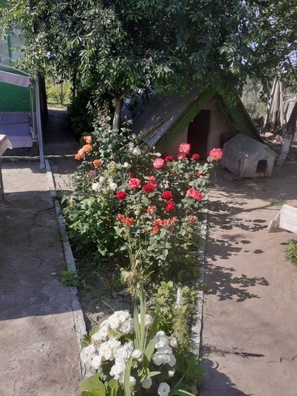 Casă cu 3 camere în Revărsarea