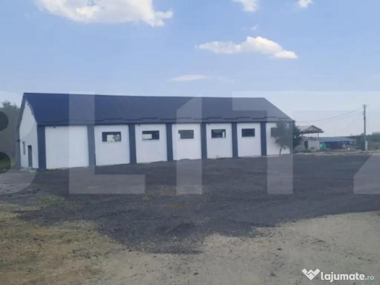 ???? Hala industriala 370 mp + teren 10.000 mp | DN72 Suta - 16