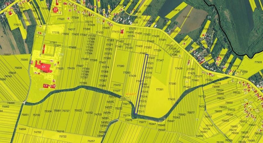 Teren intravilan Niculesti - 9.589 mp Dambovita - 4