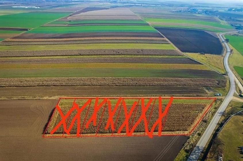 De vanzare teren intravilan la intrarea Arcusului - 2