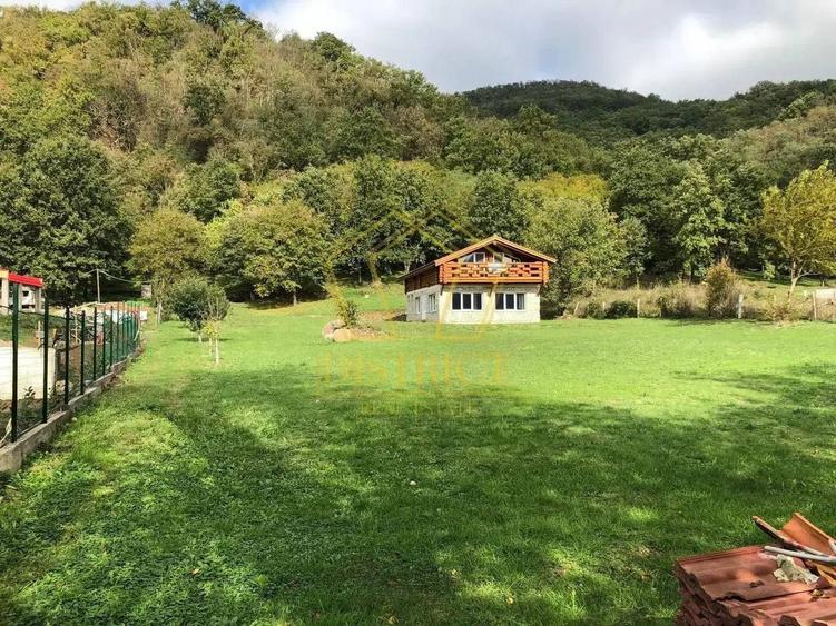 Casa de vacanta/pensiune cu teren de 3780mp | Clisura Dunarii - 8