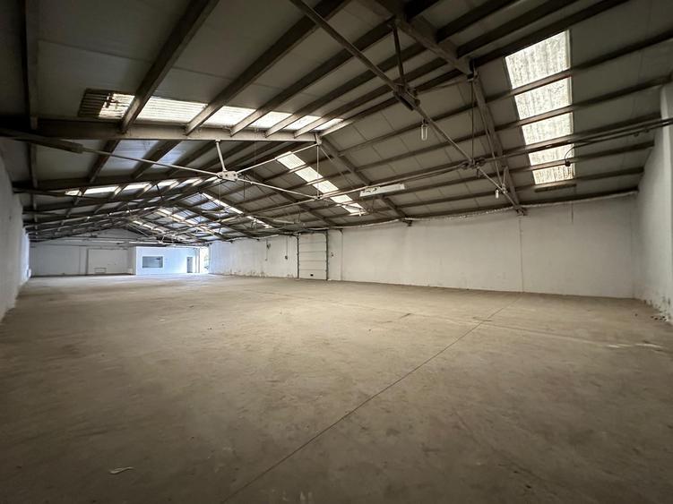 Hala de la 265mp la 530mp, centura, Tatarasi, intre Lidl si Kaufland - 9