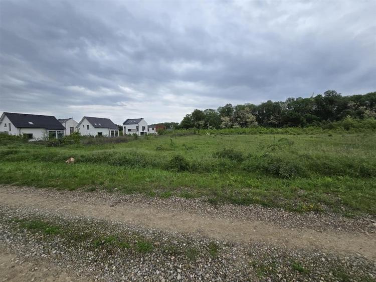 Teren intravilan Balotesti 9782mp 96ml deschidere langa padure - 3