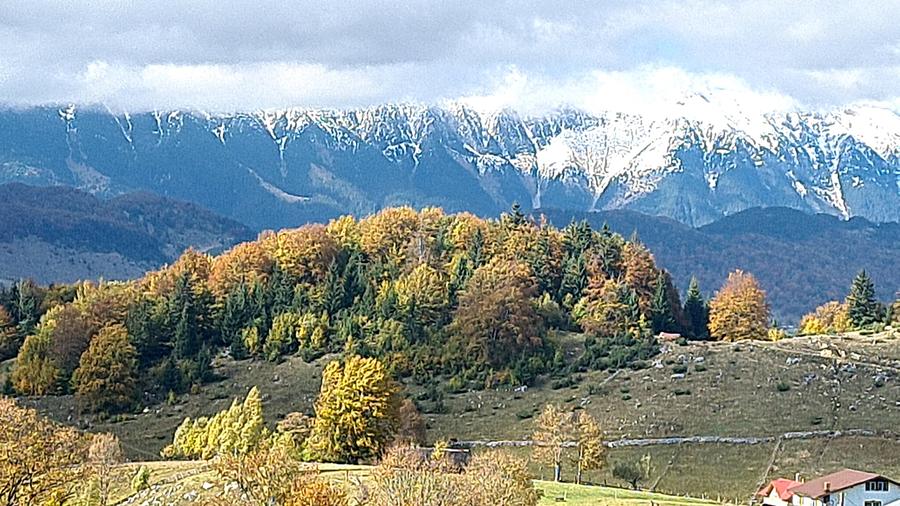 TEREN INTRAVILAN-EXTRAVILAN SPECTACULOS LANGA RESORTUL CHEILE GRADISTEI -FUNDATA - 1