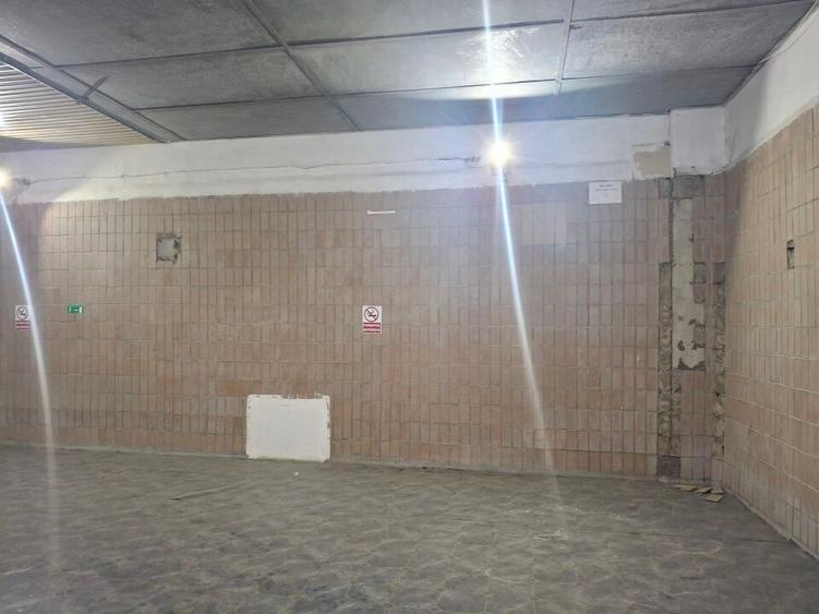 Spatii depozitare /productie Linia de Centura Leordeni-Glina - 32