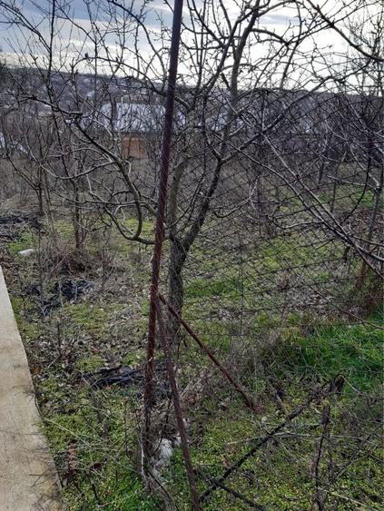 Casa batraneasca com Izvoarele - 1