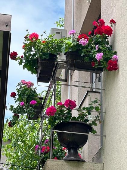 Ultracentral Pensiune Costinesti 19 Camere - 6