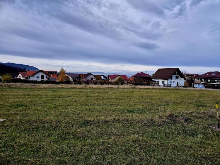 Teren Intravilan superb, 504 mp x 2/ casa locuit Bunloc - 9