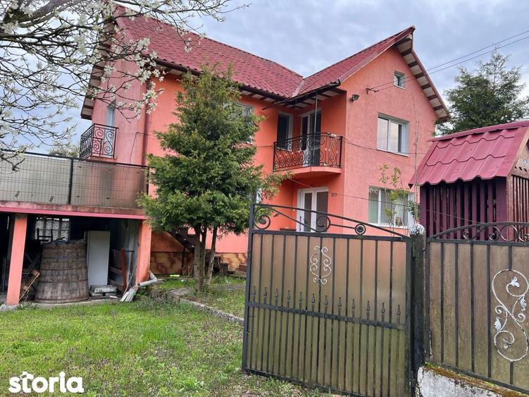 Casa de vanzare, zona Certej - 13