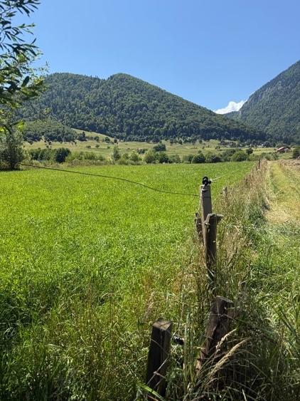 Teren Construcții intravilan de 2201 mp, în Sud-Est