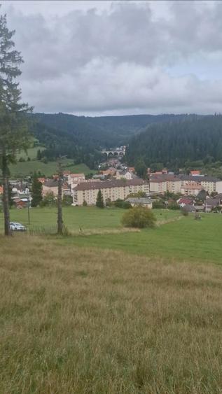 Teren de vanzare 15526 mp . Borsec Harghita - 1