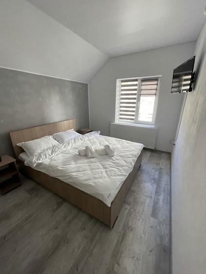 Vand Pensiune in statiunea Ranca Transalpina - 6