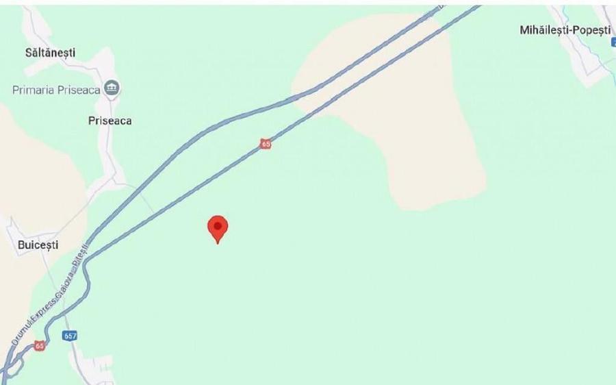 Cota de 1/24 din teren situat in Valea Mare, Jud Olt - 3