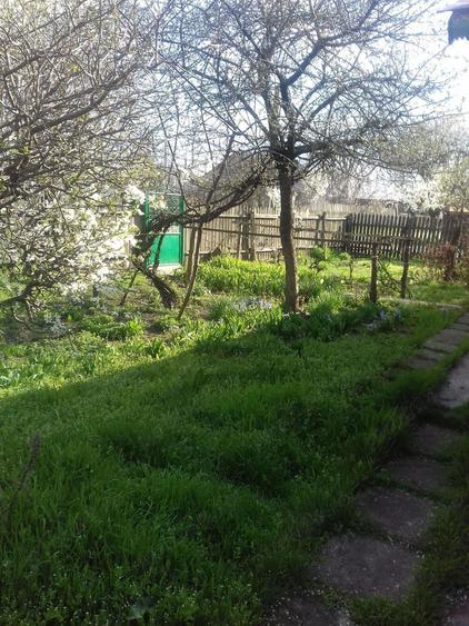 Vanzare casa Lehliu Gara - 3