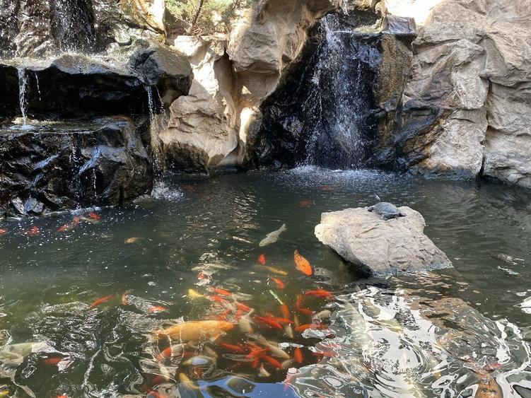 Studio in zona Herastrau - 8