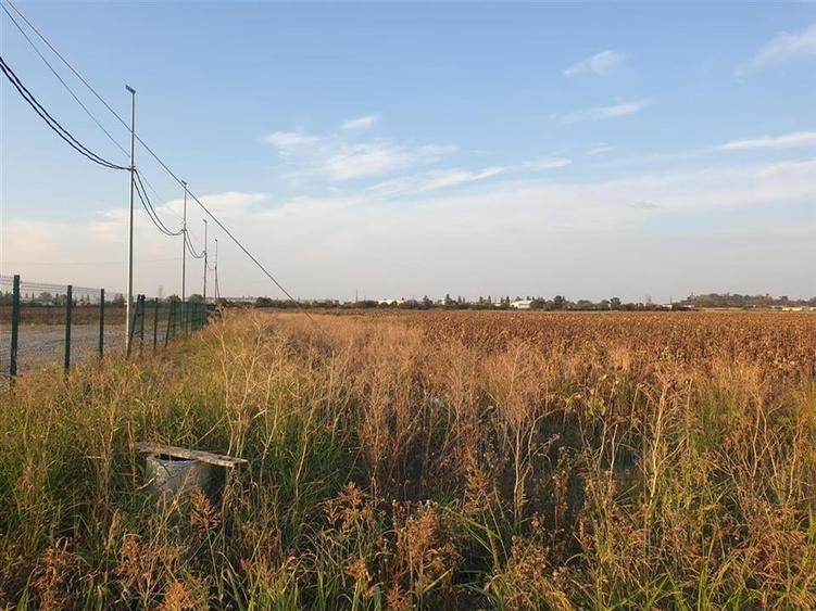 Teren intravilan zona Borsului - 1