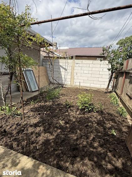 Casa singura in sectorul 3, 3 camere, curte generoasa - 10
