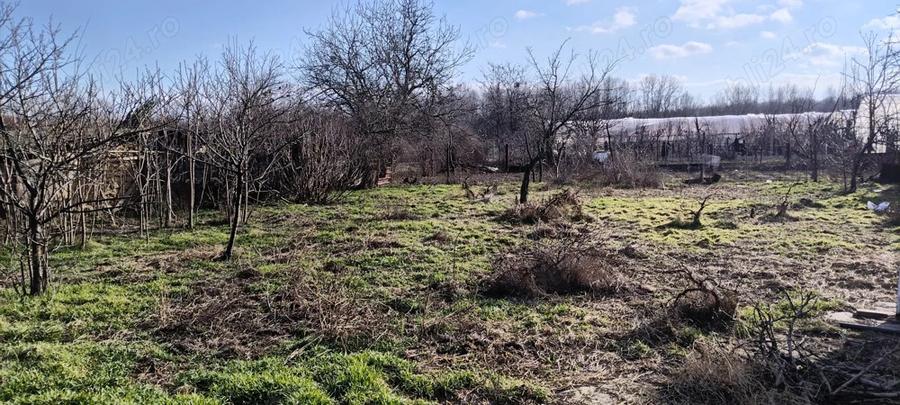 Teren intravilan + casa batraneasca - 7