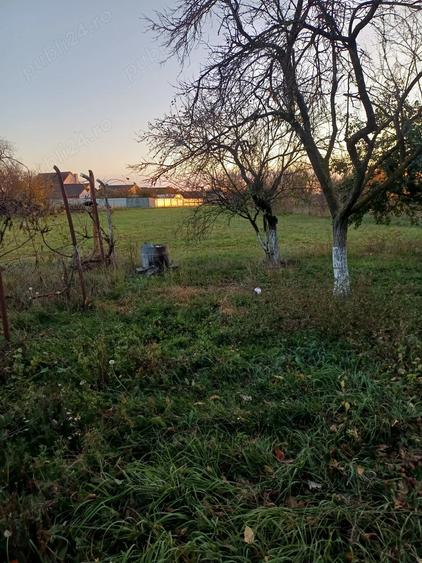 Casa de vanzare la tara, teren generos locatie linistita - 4