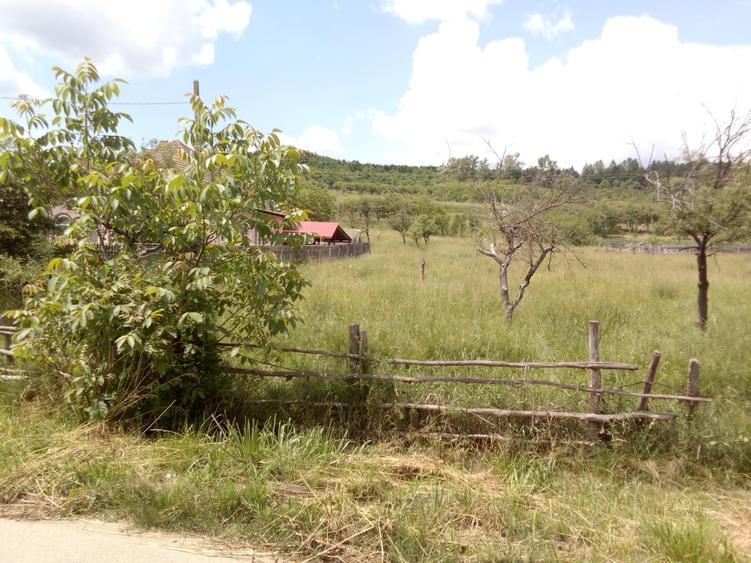 Mihaesti, Draghici - 10