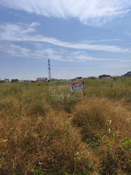 TEREN CARTIER ALBERT//INTRAVILAN - 7