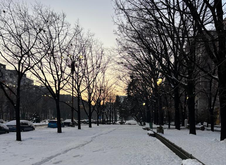 Ultracentral,fix la FANTANA MARE,panorama superba,monolit,stradal pe Bulevard - 2