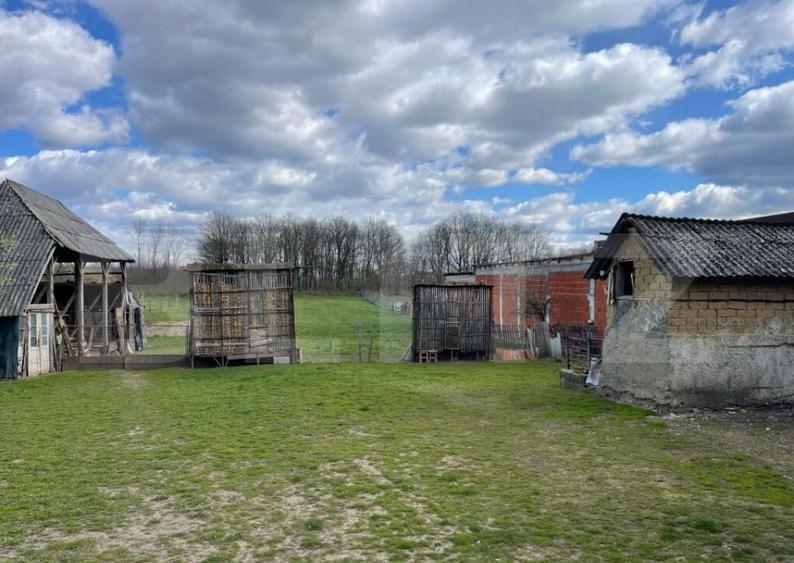 Casa cu 2 camere, 91 mp, teren 3.400 mp, zona comuna Apa - 1