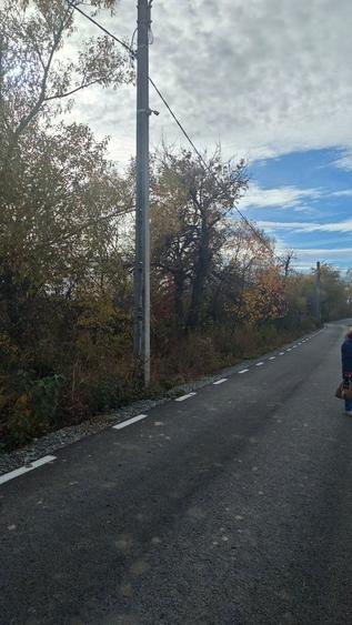 Vand parcela teren 7200 mp (2 euro/mp) in localitatea Arinis, jud Mar - 2