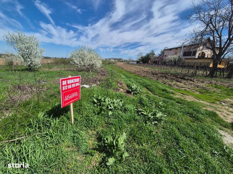 2 loturi de teren extravilan Bolintin-Deal 7800 mp si 2500 mp Pret neg - 2
