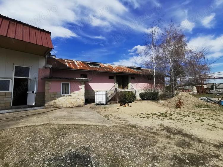Inchiriere Asociere Crama tradi?ionala + curte mare in Podgoria Vrancea - 2