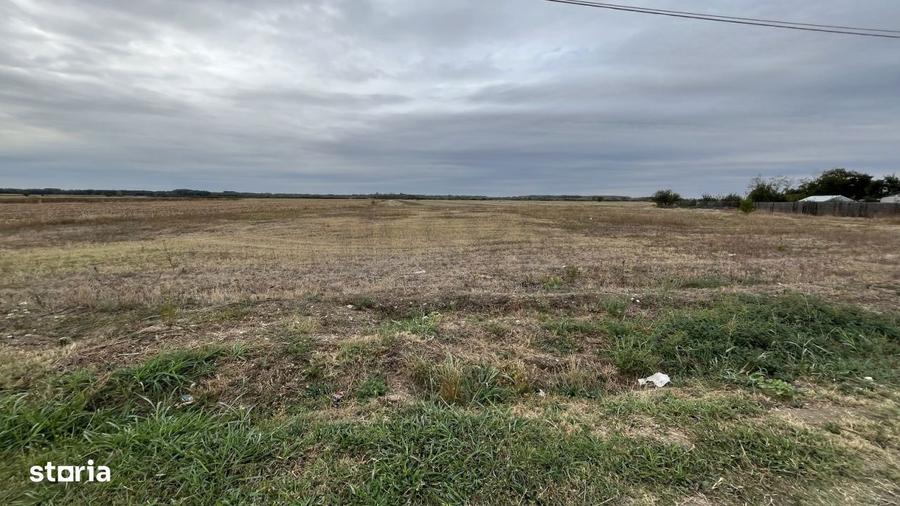 Teren extravilan padure 6000 euro vizavi Insula Crabilor - 1