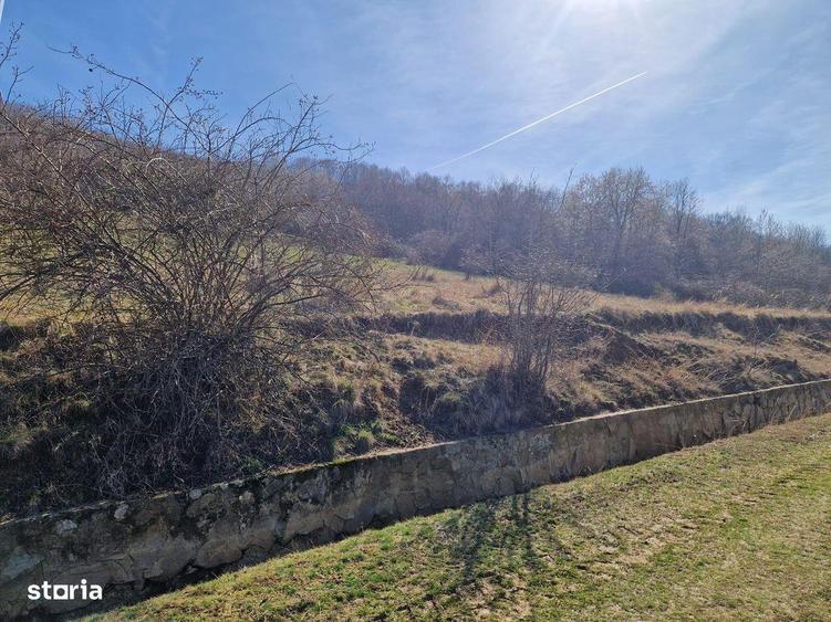 Teren extravilan, zona si priveliste superba, Cuvin - 3