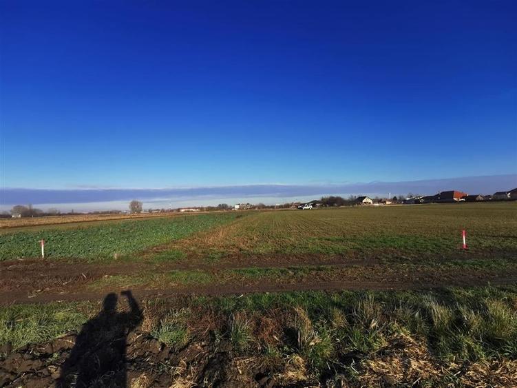 Teren intravilan in Bors cu front la 2 strazi. - 5