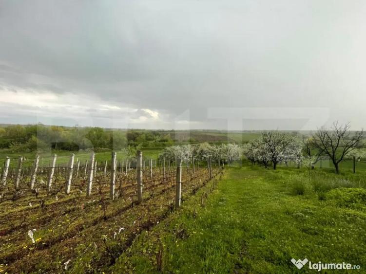 Teren intravilan 4447 mp, Pielesti. 28 ml deschidere - 2