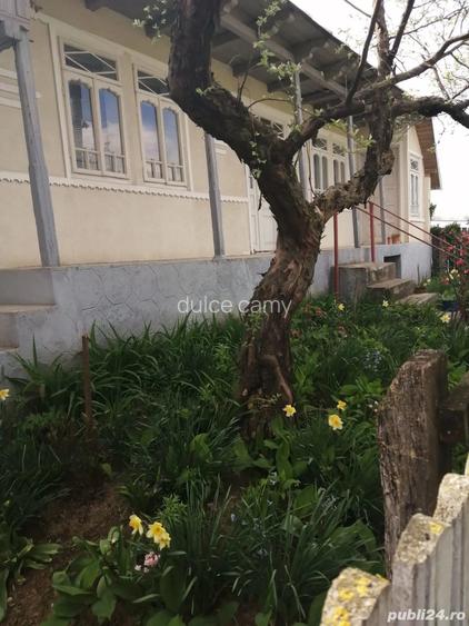 Proprietar vand casa