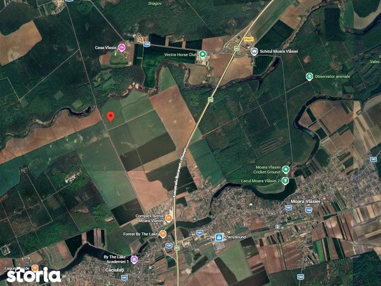 Teren extravilan 7770 mp ~ Snagov ~ Ilfov - 2