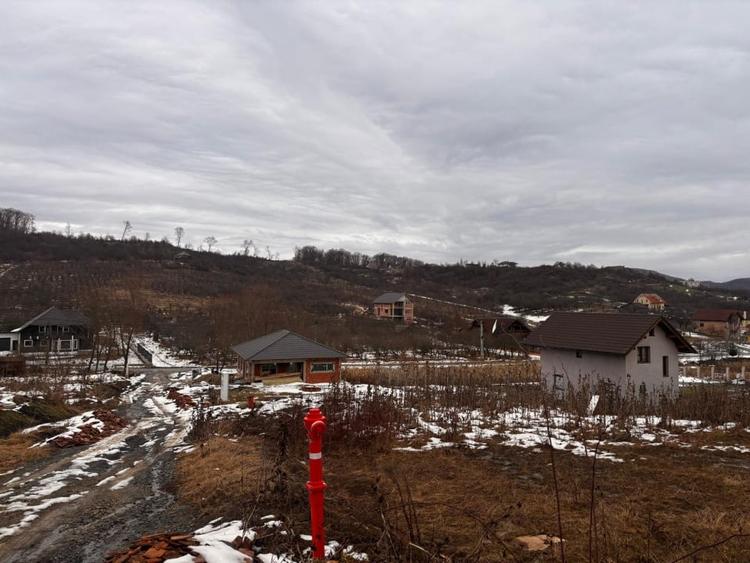 Teren Intravilan 550mp Valea Rusului - 4