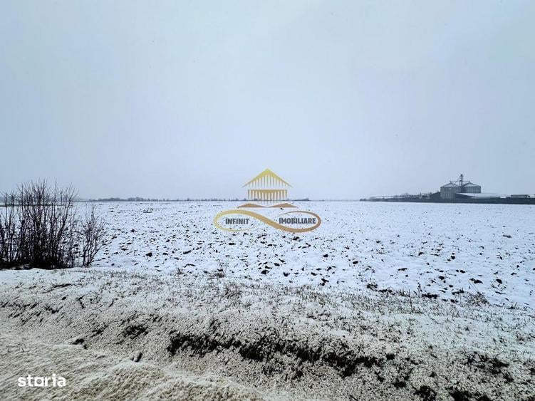 Teren de vanzare Schineni Saucesti - 2